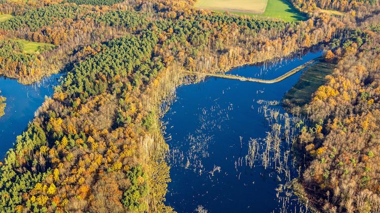 Deutsches Naturparadies ist kaum bekannt: Dieser Wanderweg trägt Sie direkt über das Wasser
