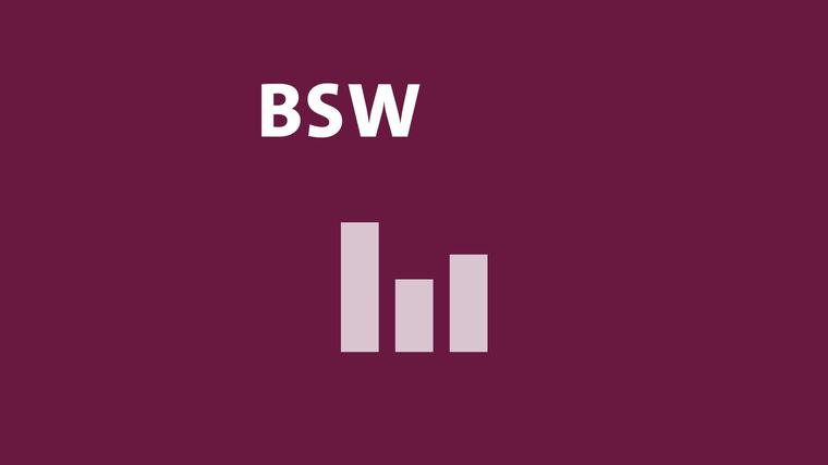 Wie die Wählenden in Sachsen-Anhalt über das BSW denken