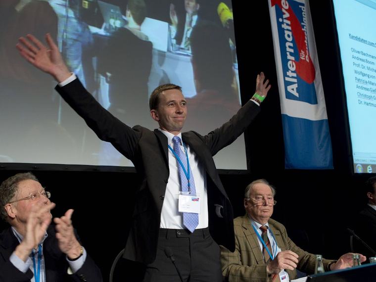 Alternative für Deutschland: Verwandlung einer Partei