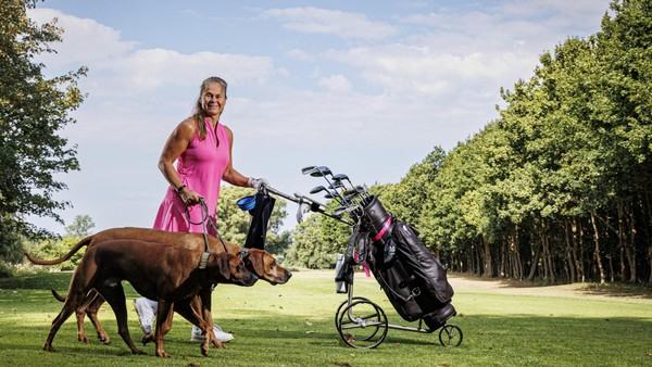 „Platzreife“ für Hunde: Hier können Vierbeiner beim Golfspielen dabei sein