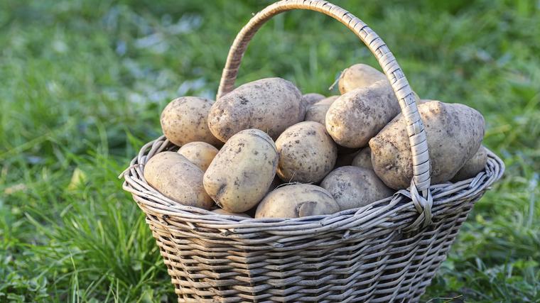 17-Jähriger baut Kartoffelautomaten aus Brettern mit moderner Bezahlfunktion