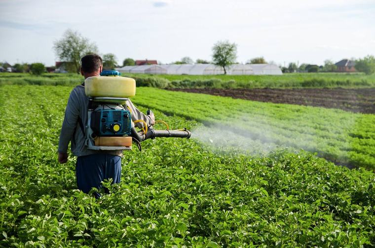 EU plant Pestizid-Verbot – doch strengere Regeln könnten Lebensmittel drastisch verteuern