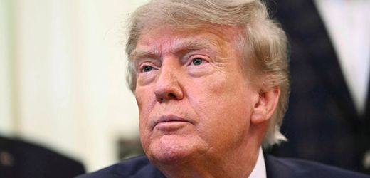 Landtagswahl in Sachsen-Anhalt: Donald Trump veröffentlicht Post zur Wahl in Sachsen-Anhalt