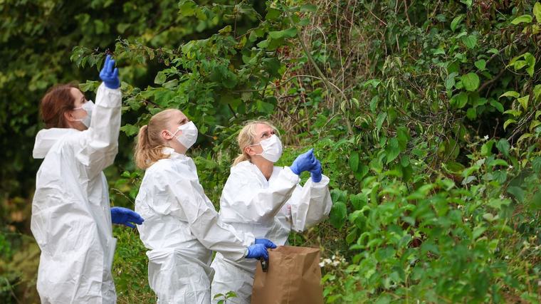 Stromnetz-Betreiber: „Machen es Attentätern unnötig leicht“