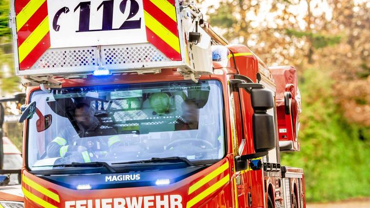 Rettungseinsatz in Neuhausen-Nymphenburg: Feuerwehr holt Terrier aus Dachsbau heraus