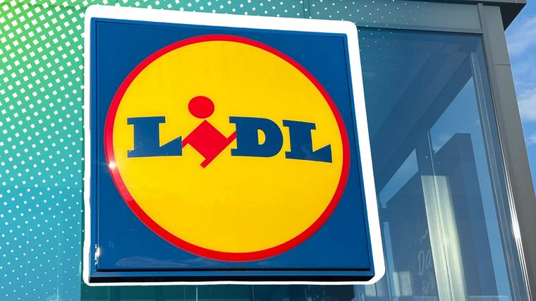 50 Euro Rabatt: Lidl verkauft ein wunderschönes Lego-Meisterwerk für Erwachsene