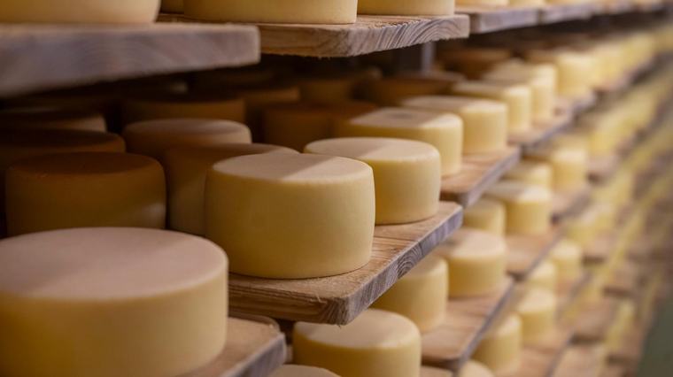 Käse-Rückruf wegen Listerien: Diese Sorten sind betroffen