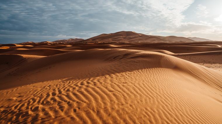 Ein Urzeit-Meer unter dem Sand: Forscher entdecken Haifischfriedhof in der Wüste