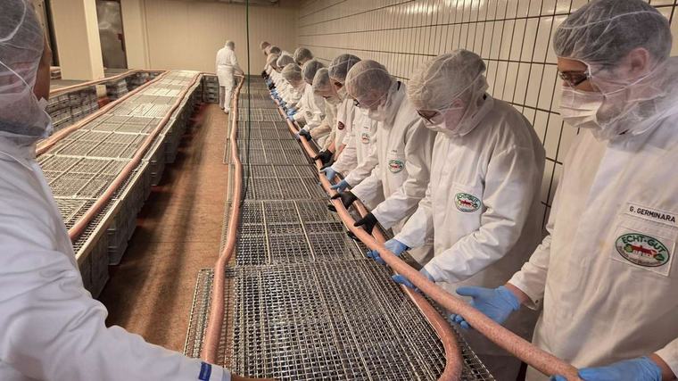 Weltrekord: Edeka produziert 120 Meter lange Ahle Wurscht