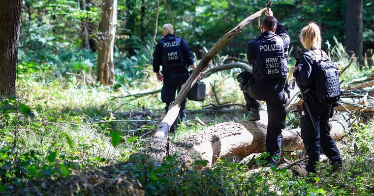 Nach Strom-Sabotage Großeinsatz der Polizei am Hambacher Forst endet erfolglos vor 9 Stunden