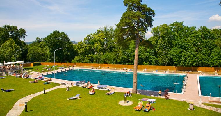Freibad setzt auf ungewöhnliche Solar-Idee: Sie sorgt für Schatten und Strom zugleich