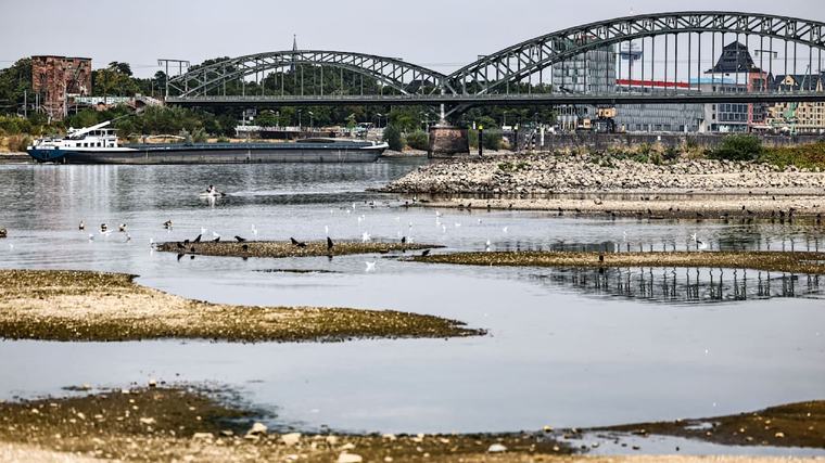 Der Rhein wird zur Goldgrube