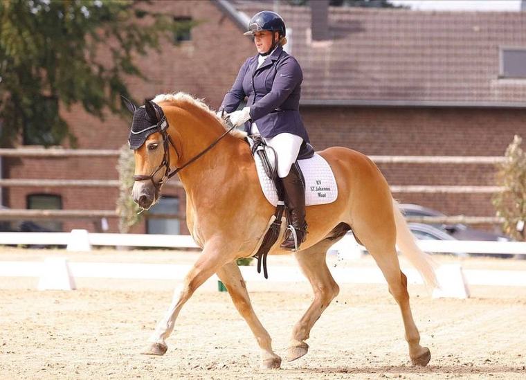 Erfolg in der L-Dressur: Dülkenerin Ramona Mösges gewinnt beim Dressur-Sommer