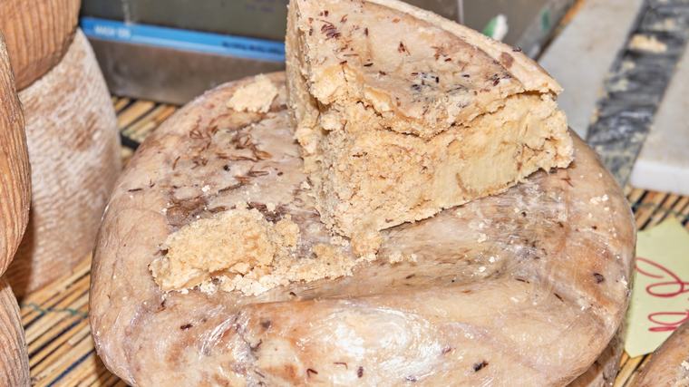 Gefährlicher als die EU erlaubt: Dieser Käse landet in Sardinien trotzdem auf dem Teller