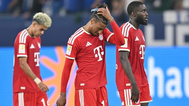 FC Bayern in der Einzelkritik: Note fünf für drei Stars gegen Schalke