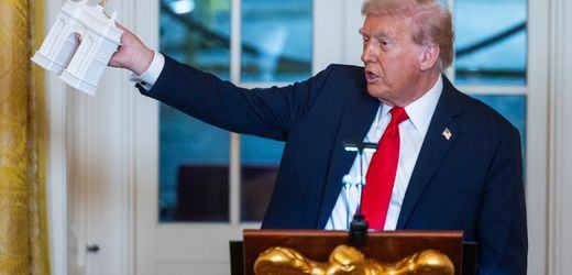 Donald Trump: Arbeiten an 76 Meter hohem Triumphbogen starten in Washington