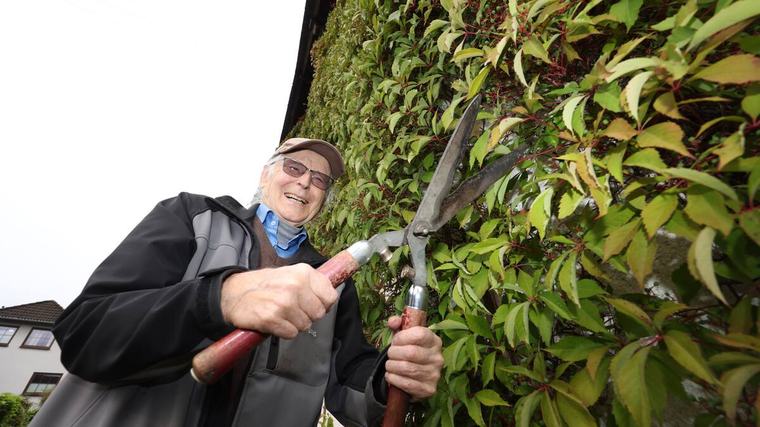 Wein als Klimaanlage: Wie ein Freudenberger sein Haus im Sommer ganz ohne Strom kühlt