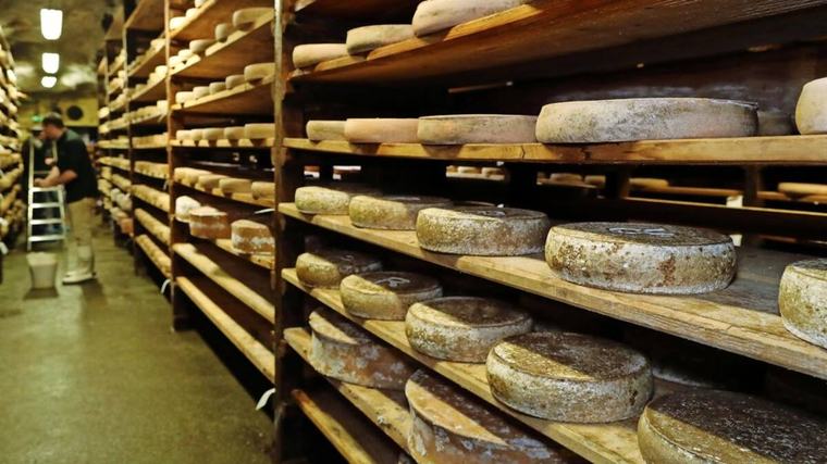Großer Käse-Rückruf wegen Listerien-Gefahr: Diese Sorten sind betroffen