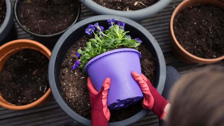 Wer alte Plastiktöpfe wegwirft, verschenkt einen überraschend nützlichen Gartenhelfer