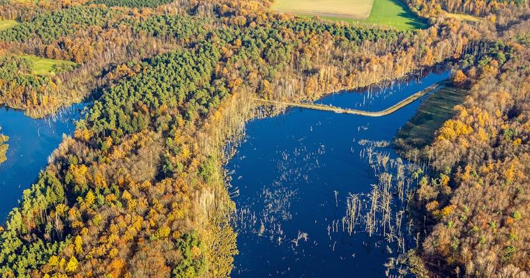 Deutsches Naturparadies ist kaum bekannt: Dieser Wanderweg trägt Sie direkt über das Wasser