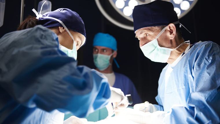 Fall aus den USA: Mann bekam Schweine-Niere transplantiert