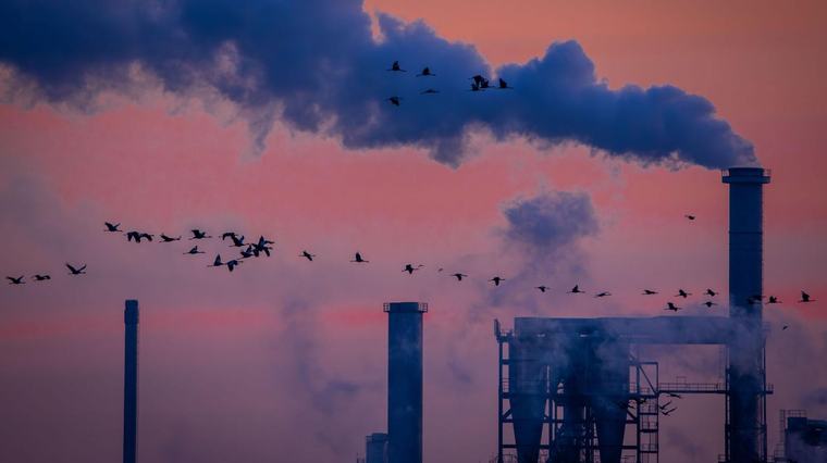 Industrieproduktion geht überraschend zurück