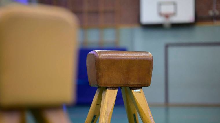 „Ich bin erschrocken über das klare Votum“ : Der Sport in Sachsen-Anhalt zittert vor möglicher AfD-Regierung