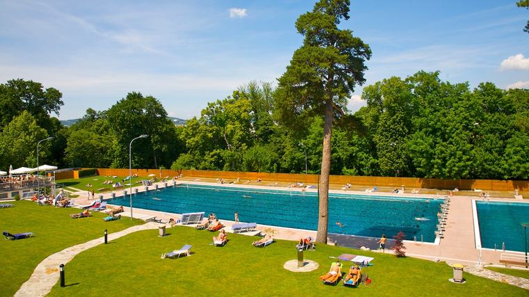 Freibad setzt auf ungewöhnliche Solar-Idee: Sie sorgt für Schatten und Strom zugleich