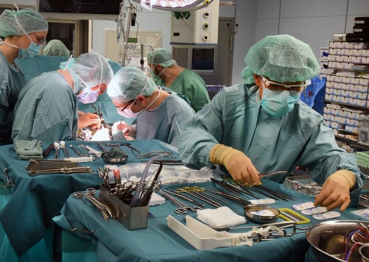 Transplantation: Schweineniere arbeitete neun Monate im Körper eines Mannes