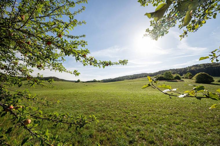 Neue Hitzewelle im Herbst? Hier gibt es bis zu 33 Grad