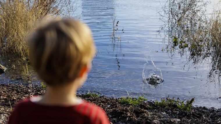 Quinn (8) entdeckt altes Holzstück im Wasser: Archäologe vermutet ein 200-Jahre altes Schiff