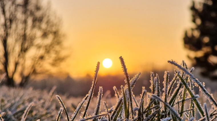Schon im Oktober Frost? Unser Meteorologe widerspricht dem 100-jährigen Kalender deutlich