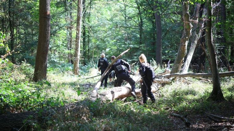 Großeinsatz der Polizei am Hambacher Forst endet erfolglos