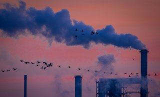 Konjunktur: Industrieproduktion geht überraschend zurück