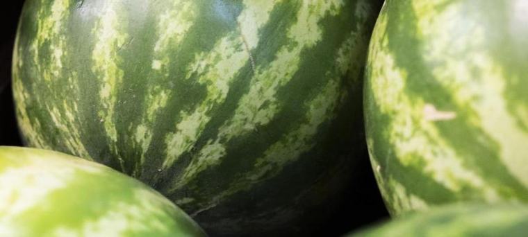 Wassermelone: Alle Vitamine im Überblick