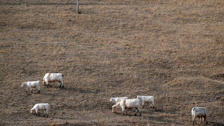 Paris stützt Landwirte nach Dürresommer mit Milliardenhilfe